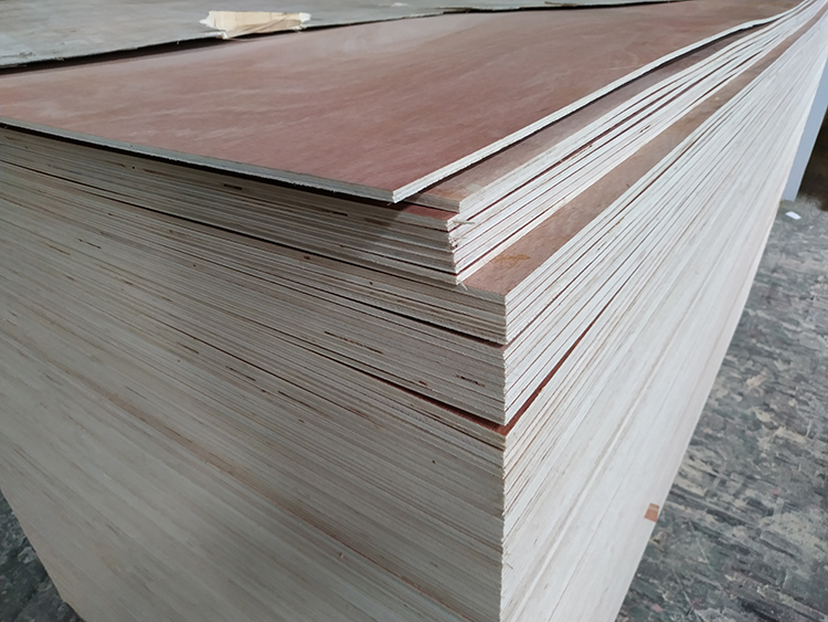 Doorskin Plywood(图1)