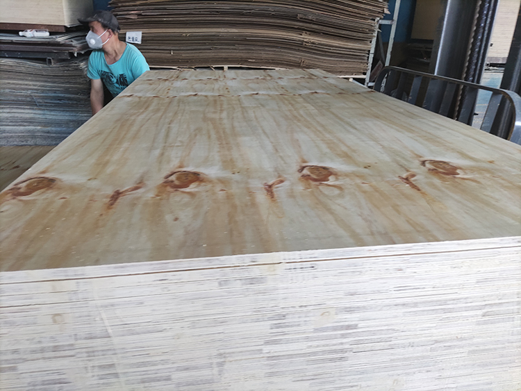 Structural Pine Plywood(图3)