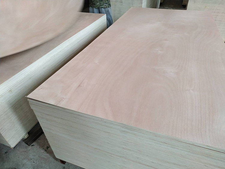 Doorskin Plywood(图2)