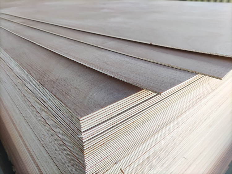 Doorskin Plywood(图3)