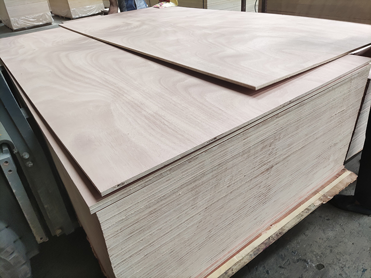 Okume plywood(图3)