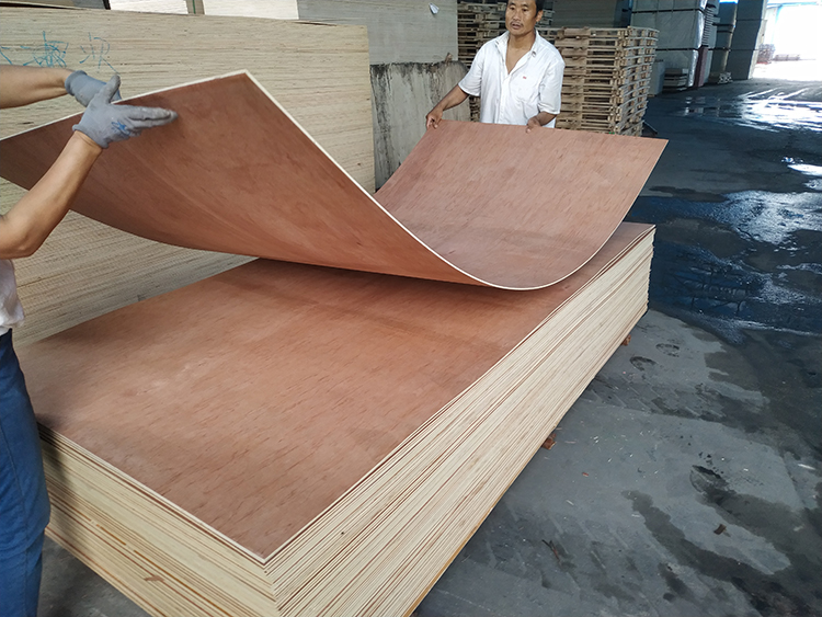 Doorskin Plywood(图4)