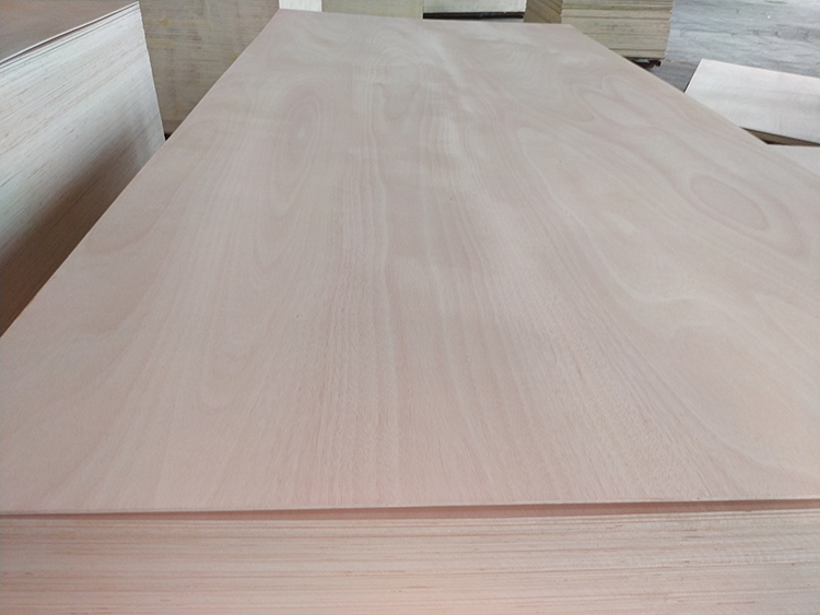 Okume plywood(图2)