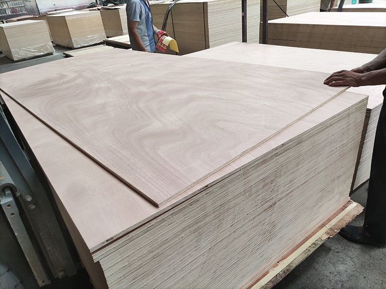 Furniture Plywood(图3)