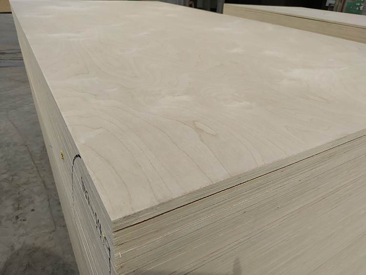 Birch plywood(图2)