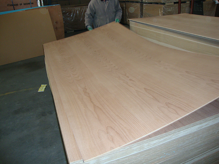 Beech Plywood(图2)