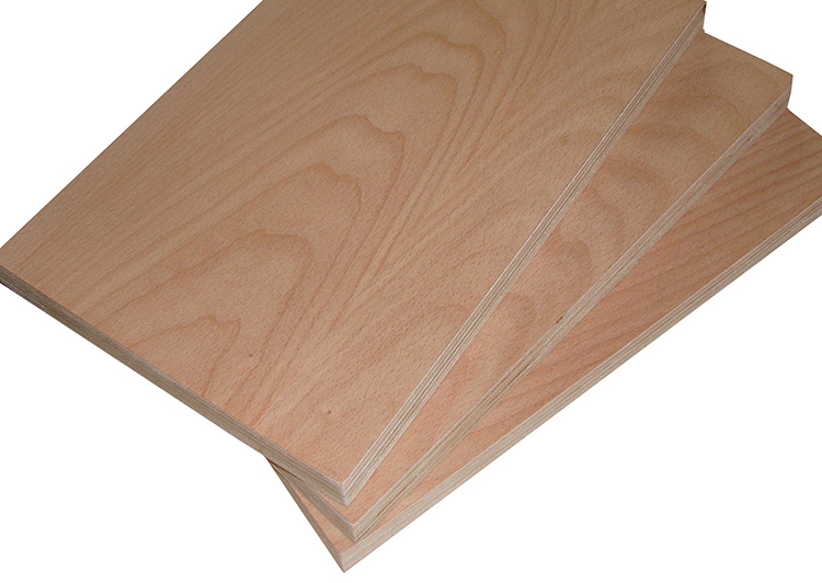 Beech Plywood(图1)